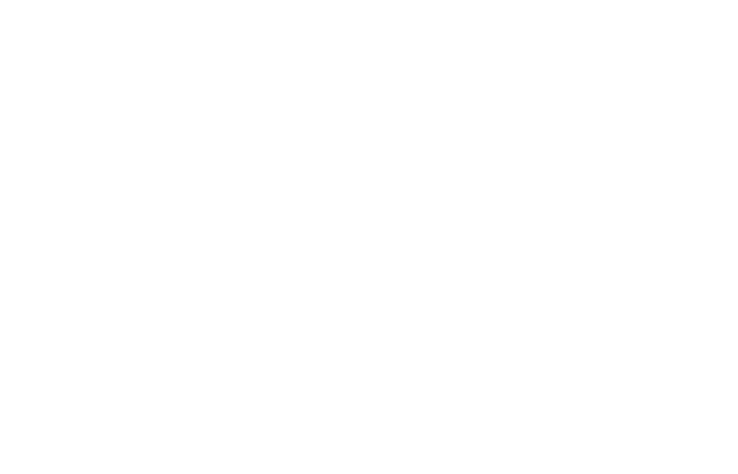 White logo Zaragoza Furniture Exhibition