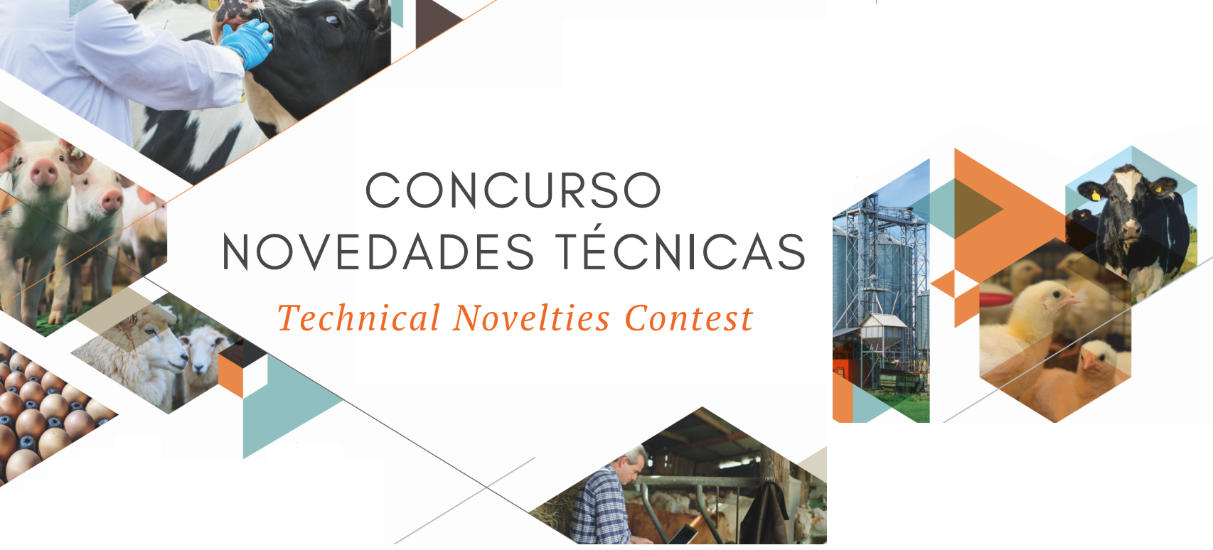 Technical Novelties Contest