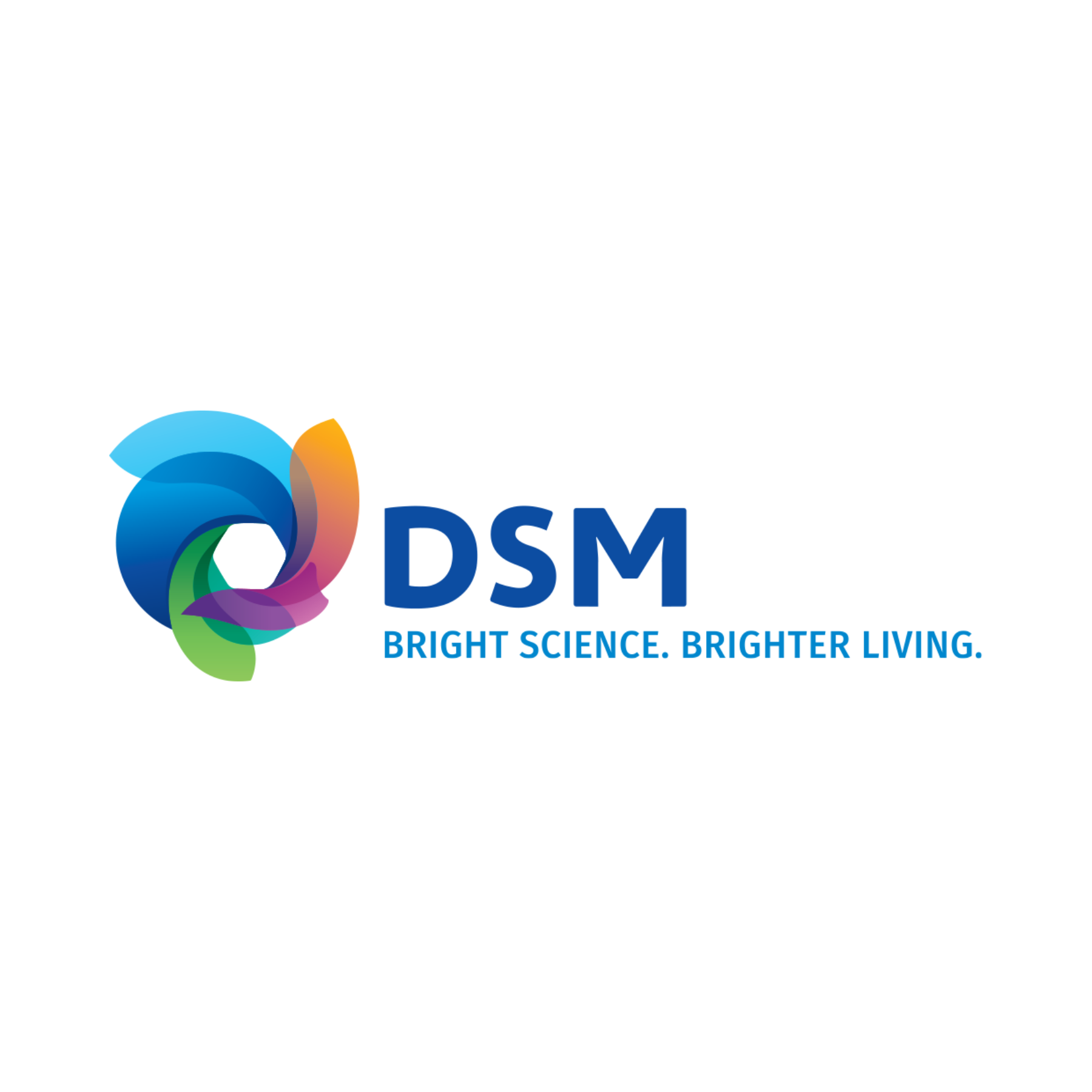 DSM NUTRITIONAL PRODUCTS IBERIA, S.A.