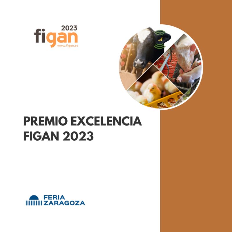Premios Excelencia Figan 2023