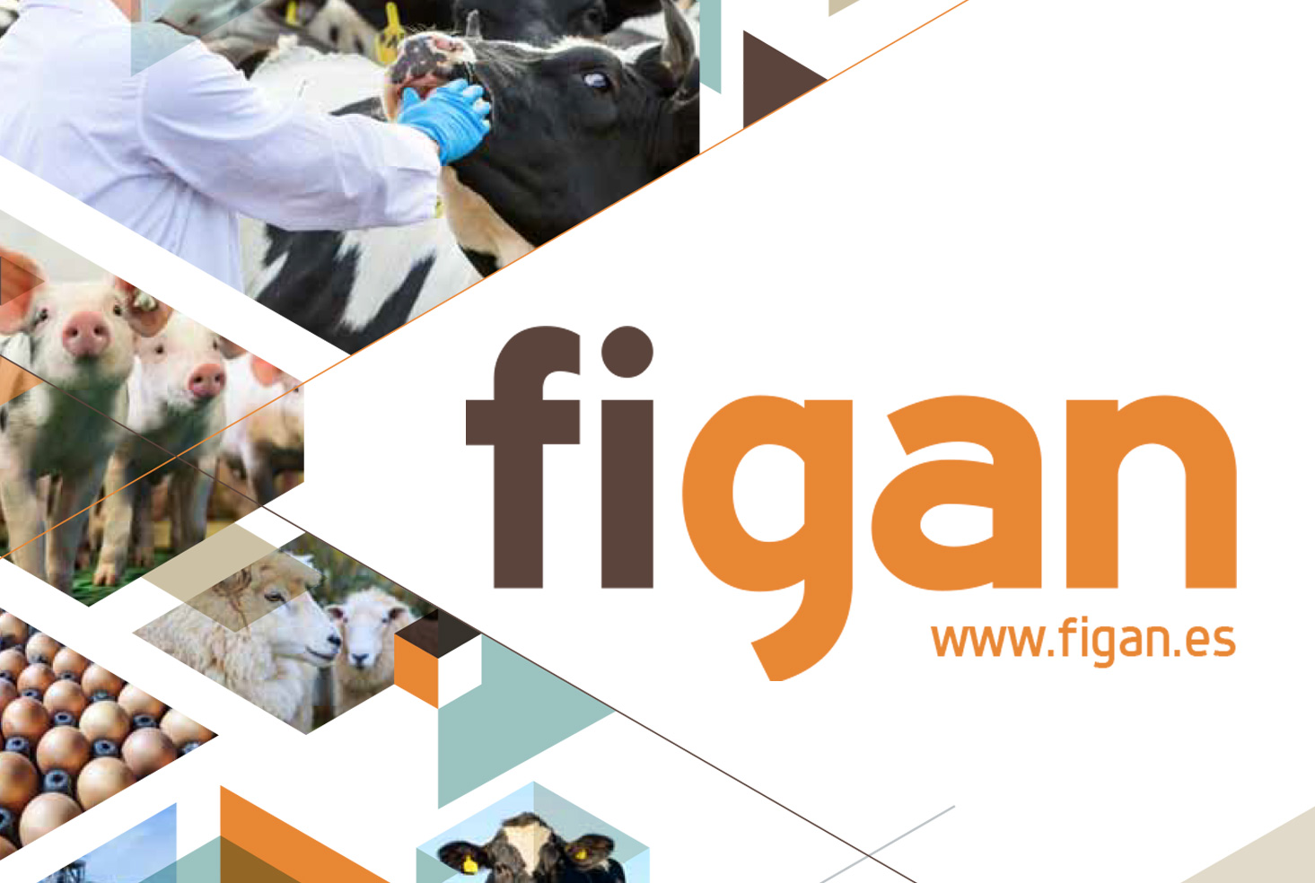 FIGAN 2017, EL MOTOR DE IMPULSO PARA EL SECTOR
AGROPECUARIO